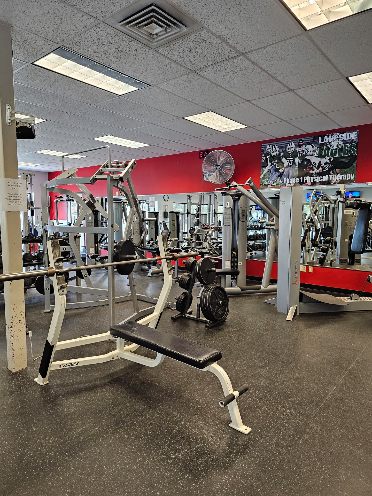 Free Weights